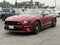 2022 Ford Mustang EcoBoost Fastback