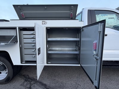 2024 Ford Super Duty F-450 DRW XL 2WD Reg Cab 145 WB 60 CA