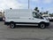 2023 Ford Transit Cargo Van T-250 148 Med Rf 9070 GVWR RWD