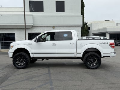2009 Ford F-150 Platinum