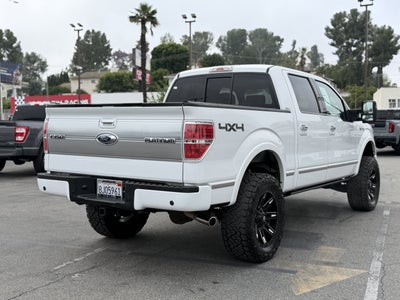 2009 Ford F-150 Platinum
