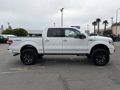 2009 Ford F-150 Platinum