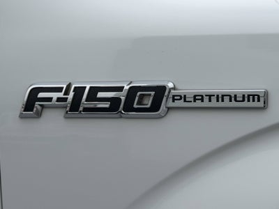 2009 Ford F-150 Platinum